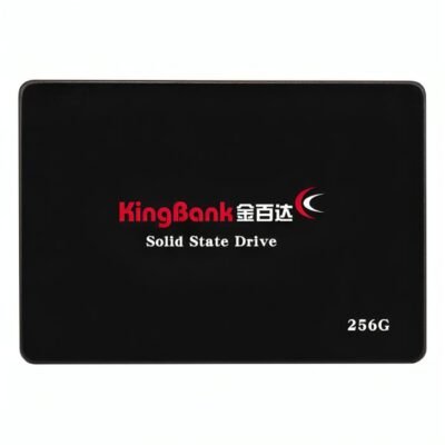 kingbank sata
